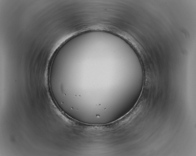 X0000113150902200909181748