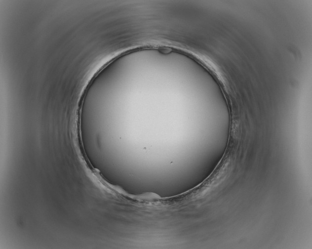 X0000113150903200909181748