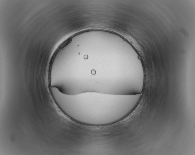 X0000113150904200909181748