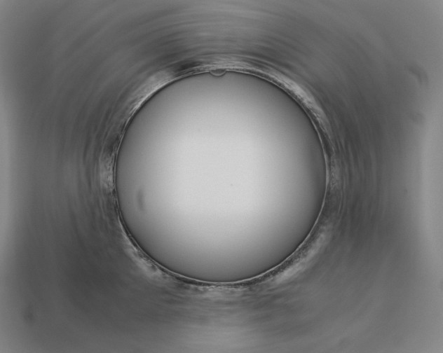 X0000113150905200909181748