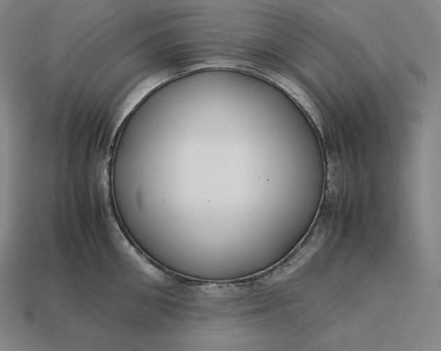 X0000113150906200909181748