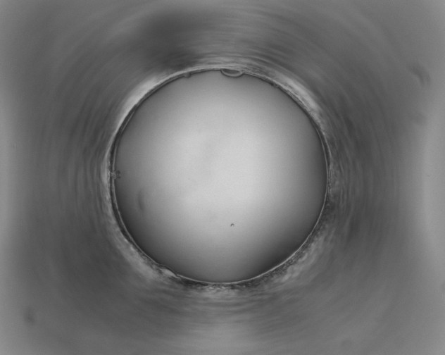 X0000113150907200909181748