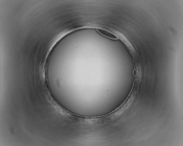 X0000113150908200909181748