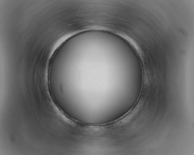 X0000113150910200909181748