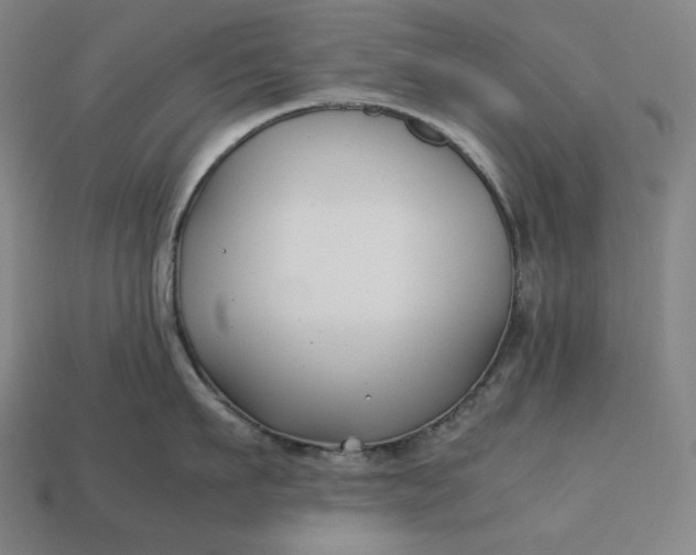 X0000113150911200909181748