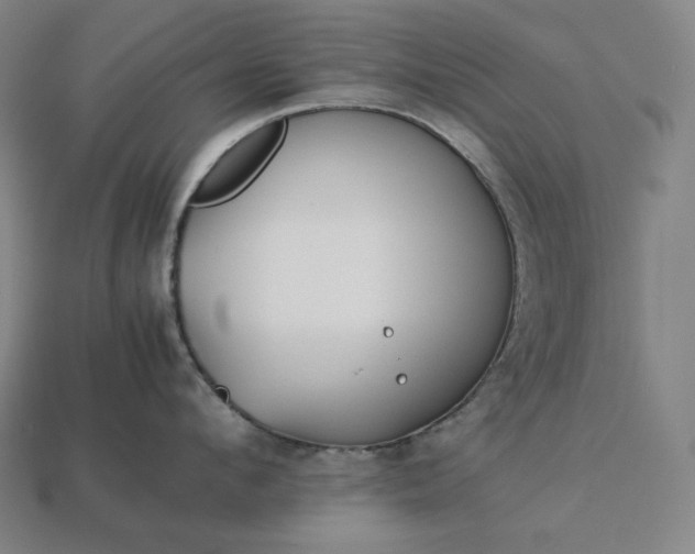 X0000113150912200909181748