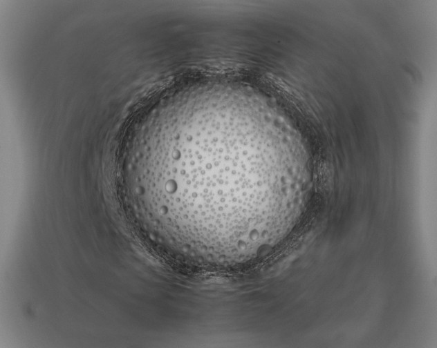 X0000113150913200909181747