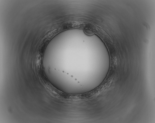 X0000113150914200909181747