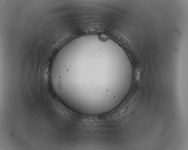 X0000113150915200909181747