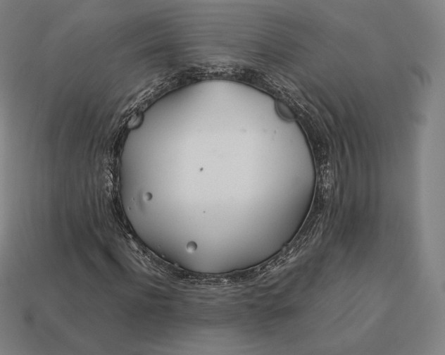 X0000113150916200909181747