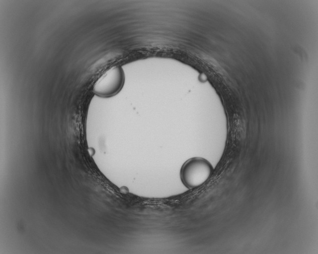 X0000113150918200909181747