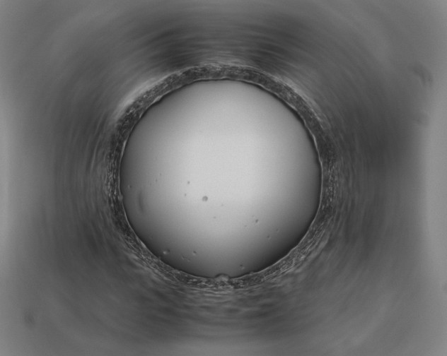 X0000113150919200909181747