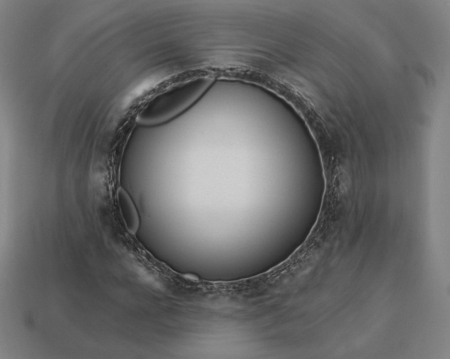 X0000113150920200909181747