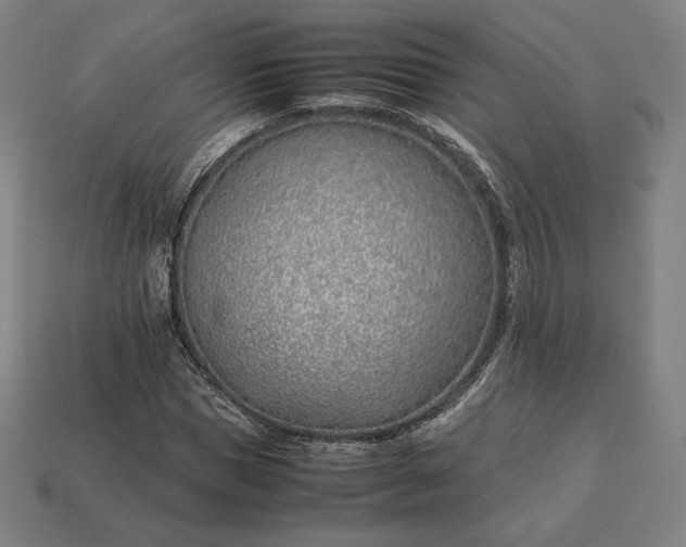 X0000113150921200909181747