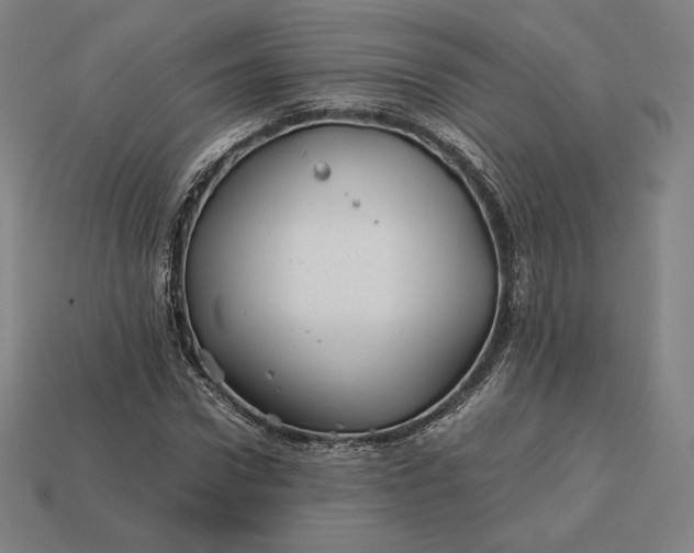 X0000113150922200909181747