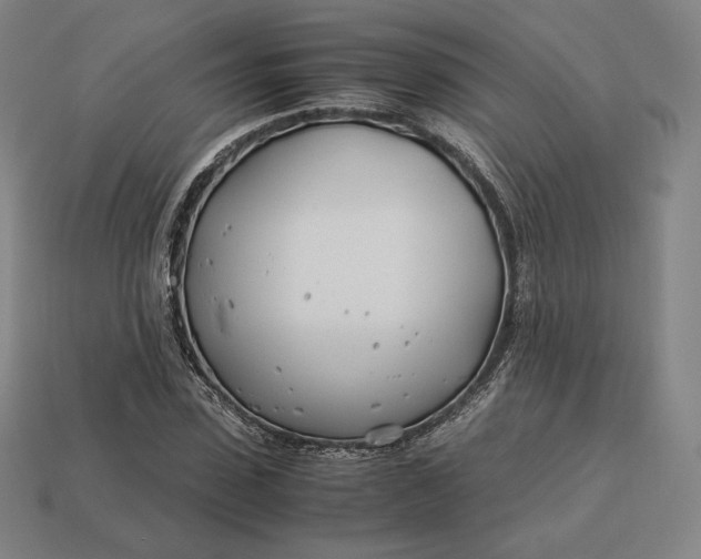 X0000113150923200909181747