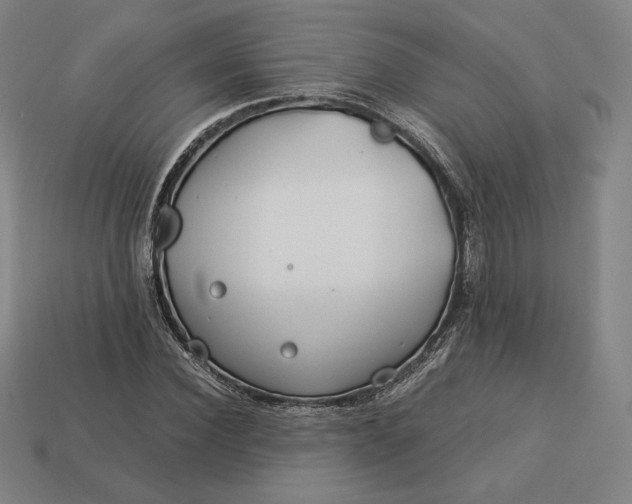 X0000113150924200909181747