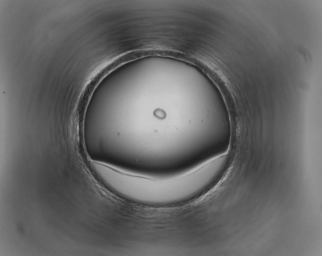 X0000113150925200909181747