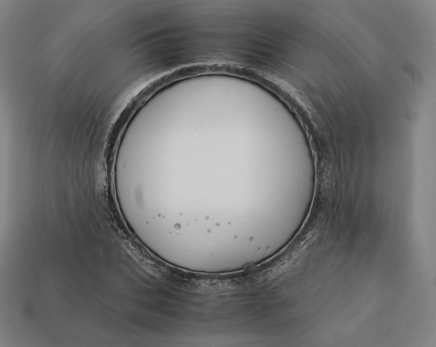 X0000113150927200909181747