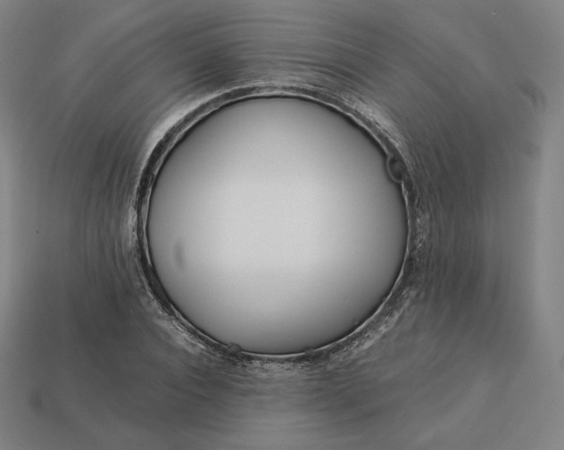 X0000113150928200909181747