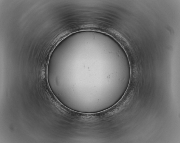 X0000113150929200909181747