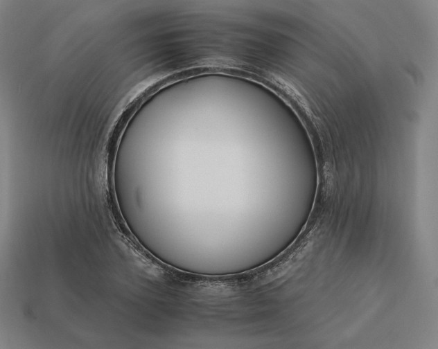 X0000113150931200909181747