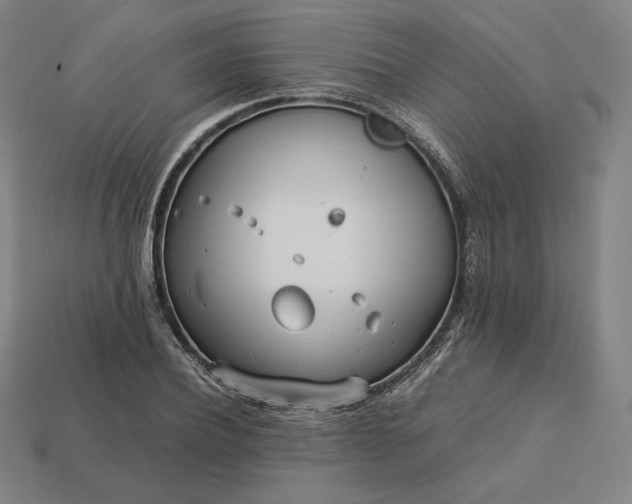 X0000113150932200909181747