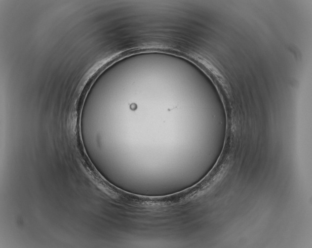 X0000113150933200909181747