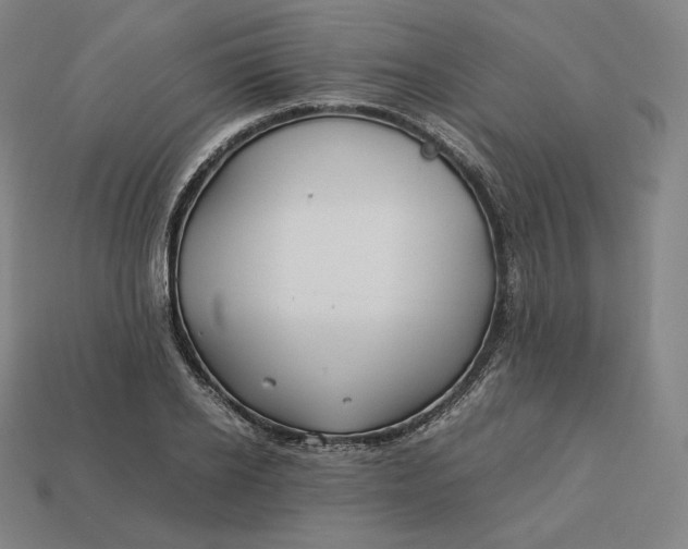 X0000113150934200909181747