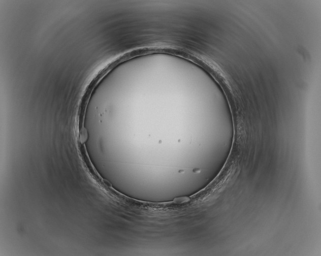 X0000113150935200909181747