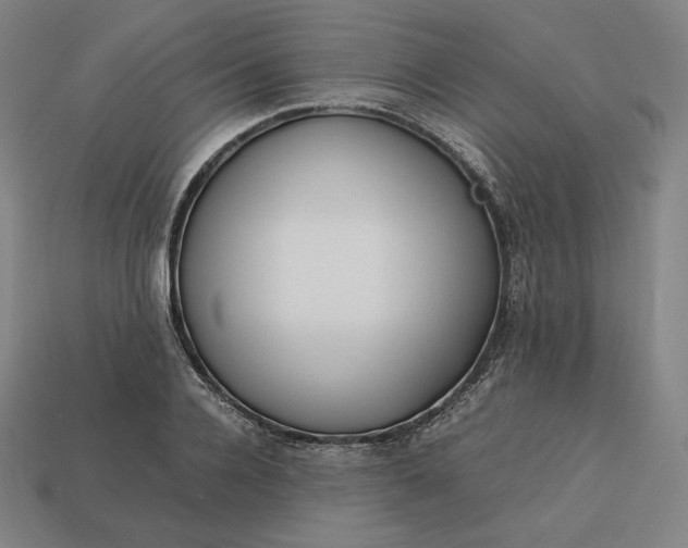 X0000113150936200909181747