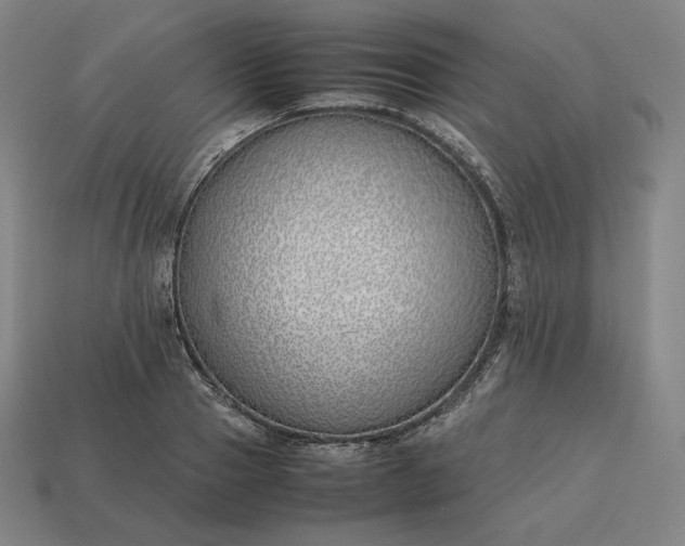 X0000113150937200909181747