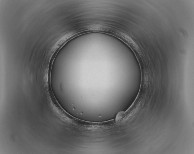 X0000113150938200909181747