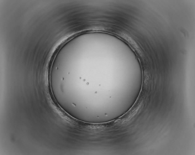 X0000113150939200909181747