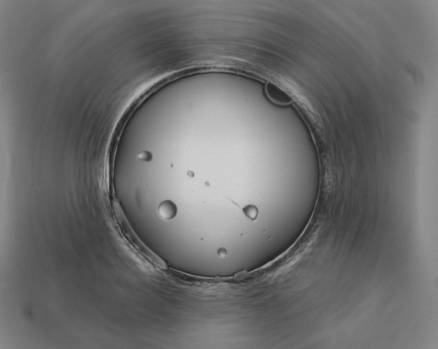 X0000113150940200909181747