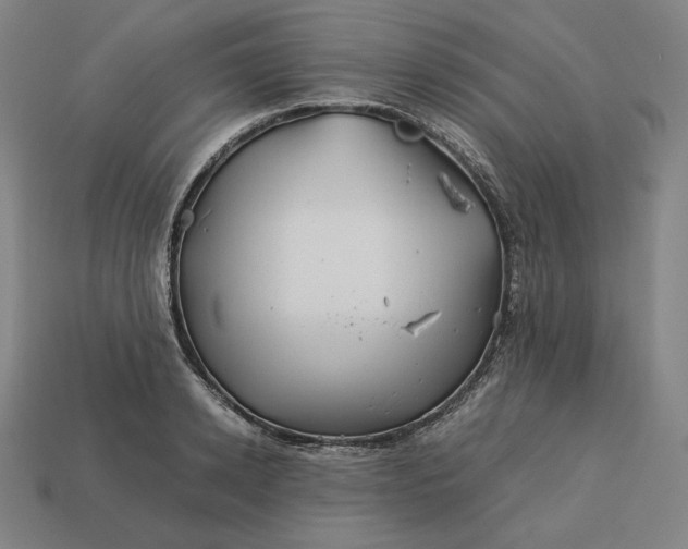 X0000113150942200909181747