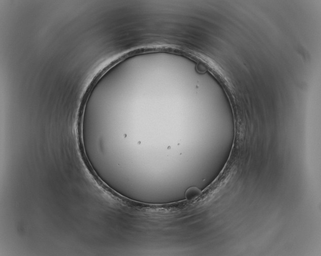 X0000113150943200909181747