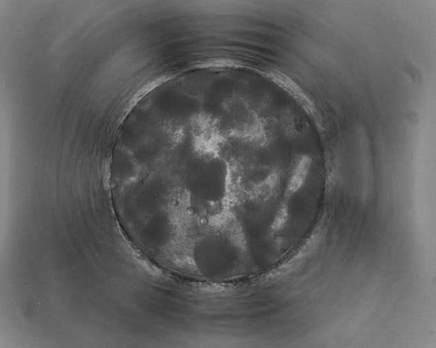 X0000113150945200909181747