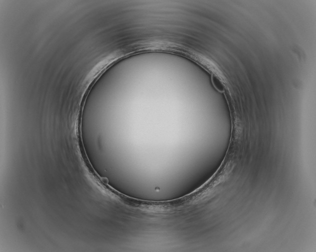 X0000113150946200909181747