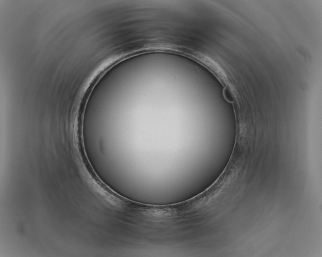 X0000113150947200909181747