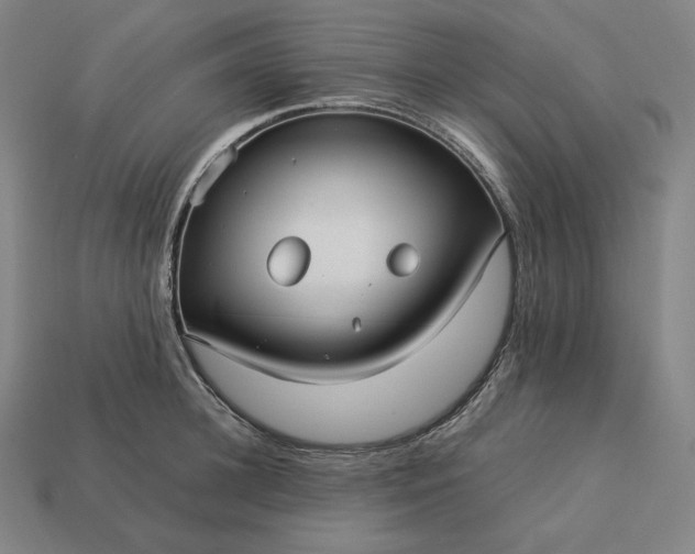 X0000113150948200909181747