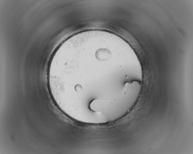 X0000113150950200909181747