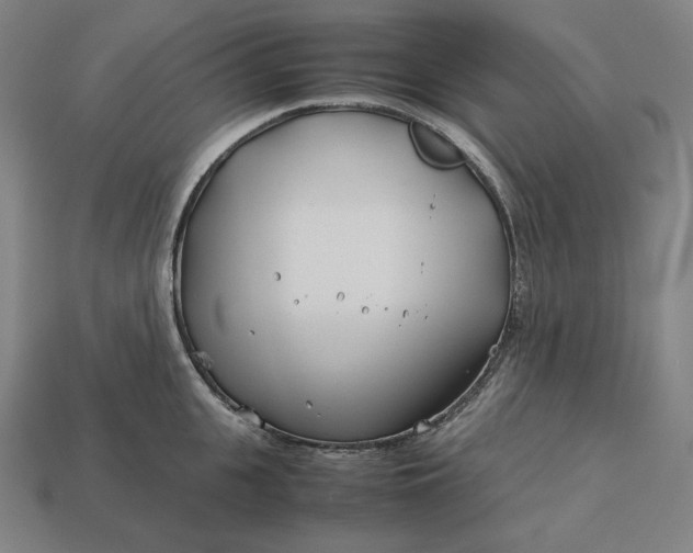 X0000113150951200909181748