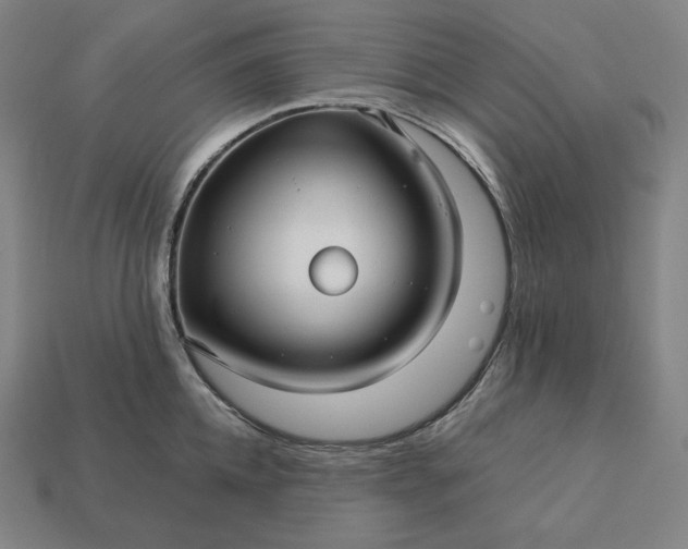 X0000113150952200909181748