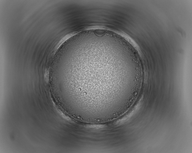 X0000113150953200909181748