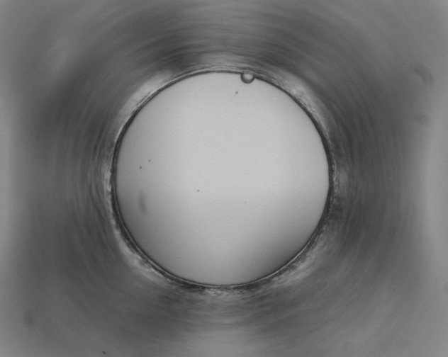 X0000113150954200909181748