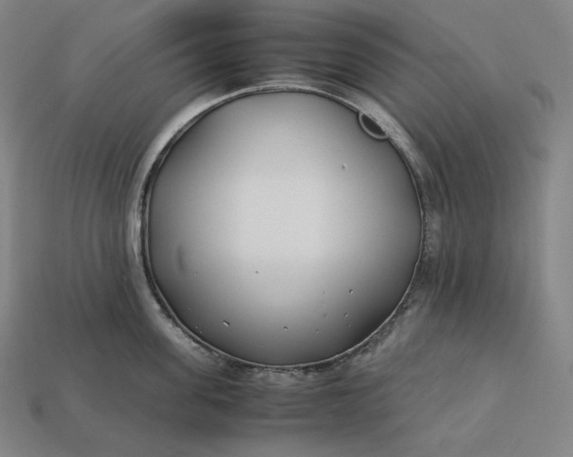 X0000113150955200909181748