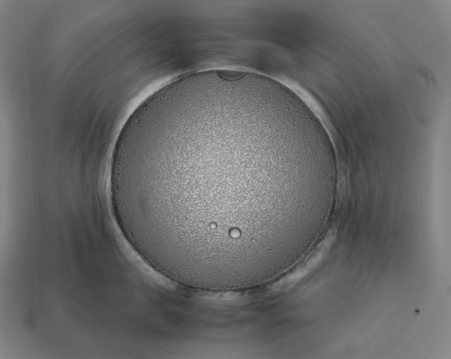 X0000113150957200909181748