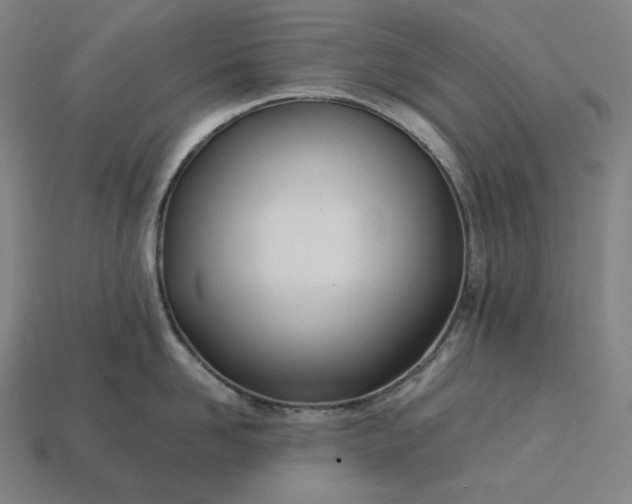 X0000113150958200909181748