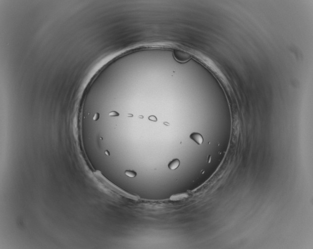 X0000113150959200909181748